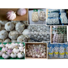 Natural Garlic /Shandong garlic